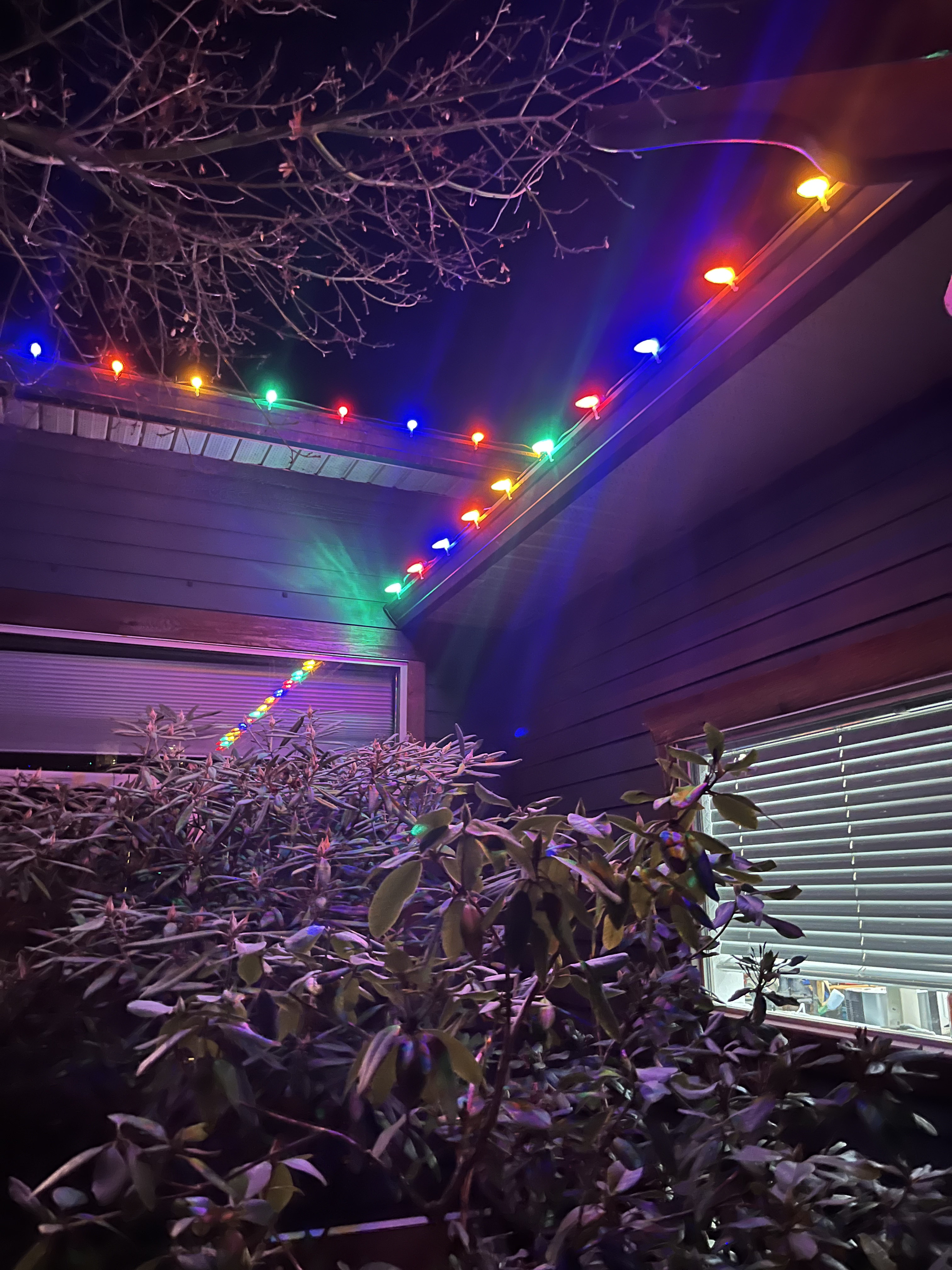 Multi-color holiday lights Sechelt Sunshine Coast BC
